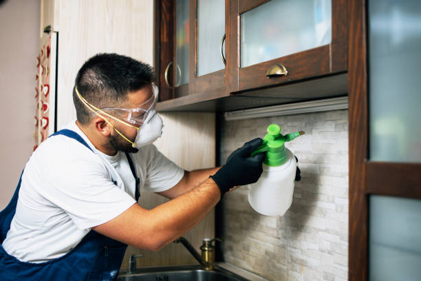 Best Pest Control Near Me  in John Day, OR