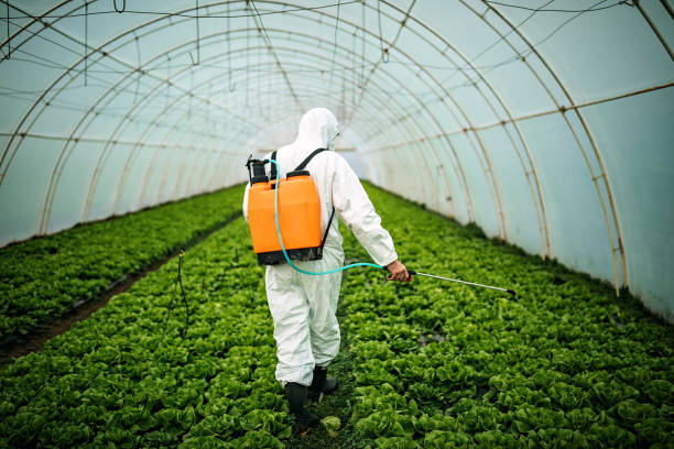Pest Prevention Services in John Day, OR