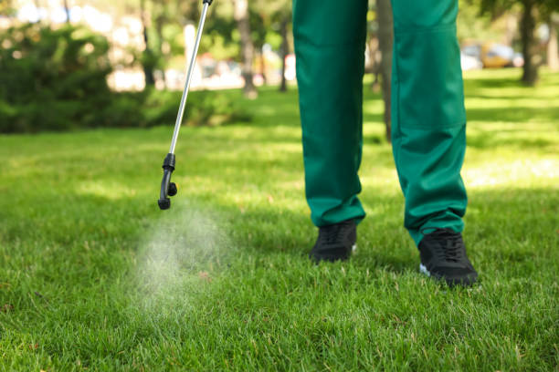 Best Flea Control Services  in John Day, OR
