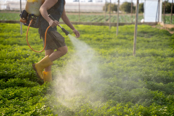 Best Best Pest Control Companies  in John Day, OR