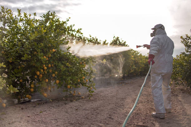 Best Exterminator Services  in John Day, OR